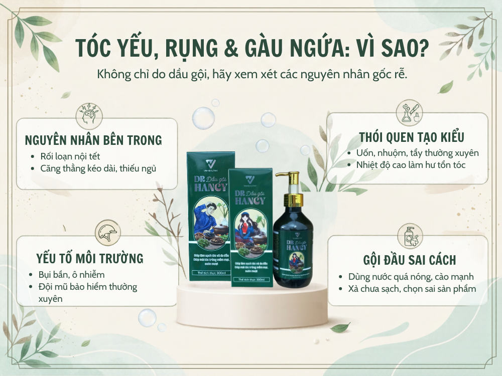 Dầu gội dược liệu và những bí quyết chăm sóc giúp tóc khỏe từ gốc